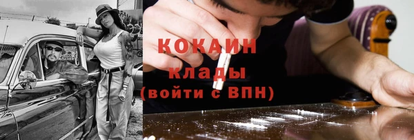 бошки Бронницы