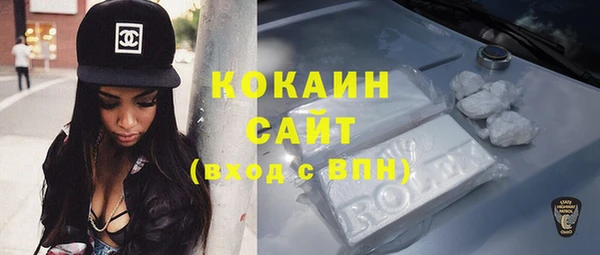 молекула духа Бородино