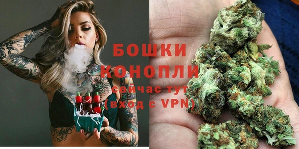 молекула духа Бородино