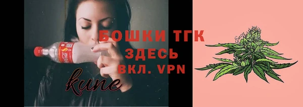 молекула духа Бородино