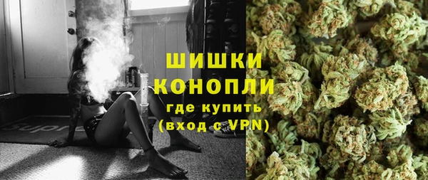 молекула духа Бородино