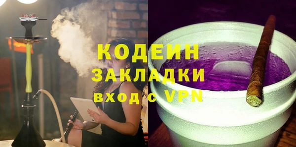 молекула духа Бородино