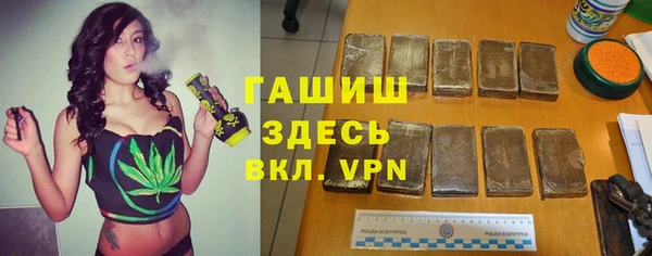 молекула духа Бородино